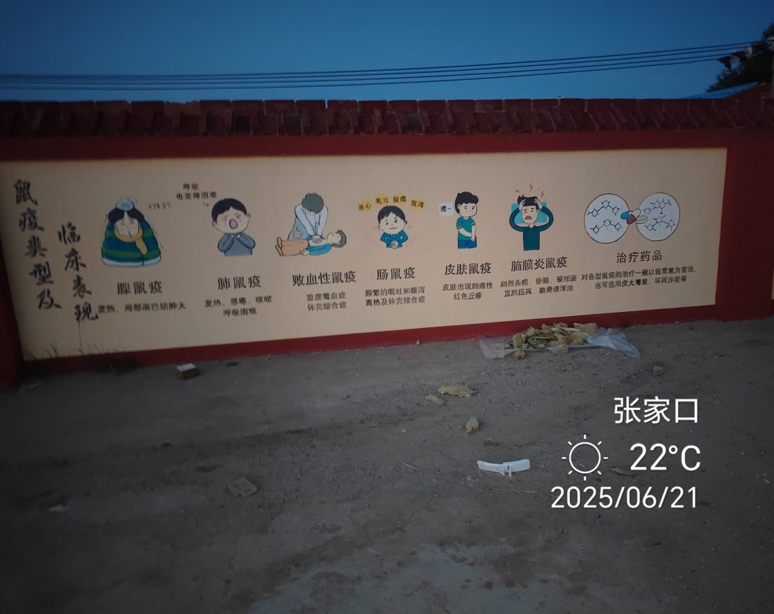 鼠疫2.png
